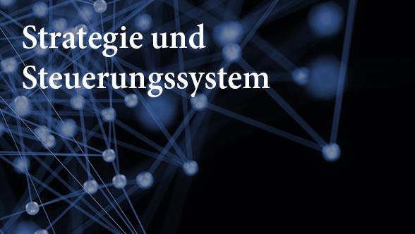 Strategie und Steuerungssystem