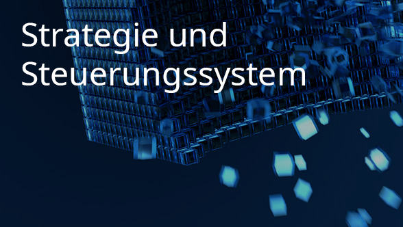 Strategie und Steuerungssystem