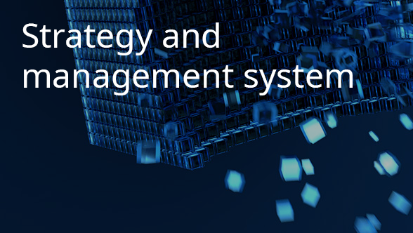 Strategy and management system